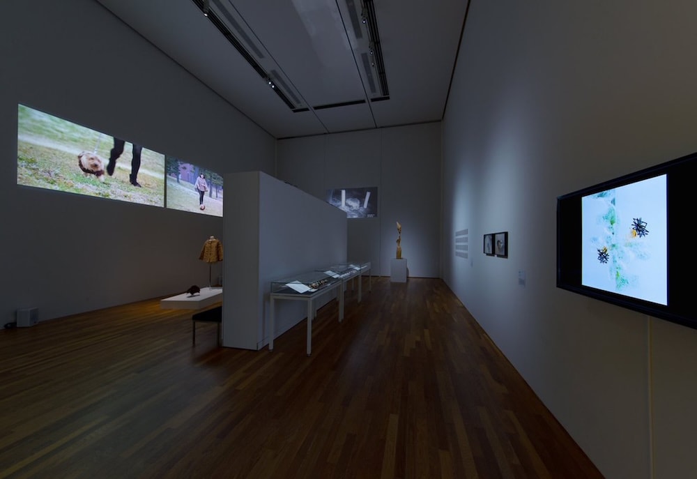 Exhibit: Kitakyushu Municipal Museum of Art, 2019